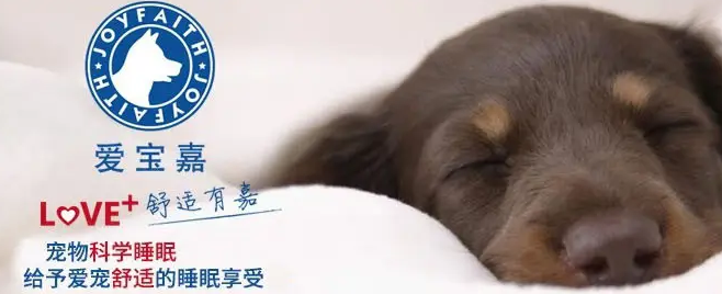 爱宝嘉——宠物健康睡眠正确方式 爱宝嘉——宠物健康睡眠正确方式