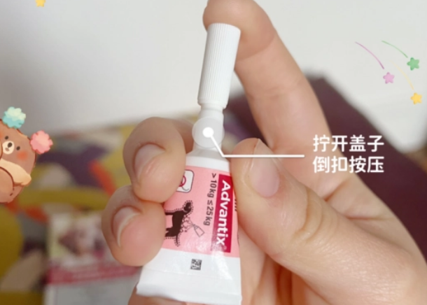 拜宠爽:请收下这份攻略,狗狗体外驱虫用什么 拜宠爽:请收下这份攻略,狗狗体外驱虫用什么