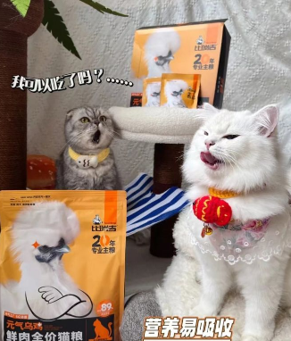 百元内猫粮怎么选?“多猫之家”都看比瑞吉元气乌鸡鲜肉猫粮 百元内猫粮怎么选?“多猫之家”都看比瑞吉元气乌鸡鲜肉猫粮