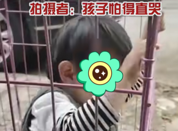奶奶为安心打牌将3岁孙子关进宠物笼，网友怒斥：老人别再假带娃