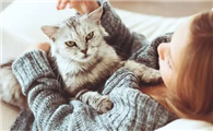 猫尿频尿少吃什么药好得快
