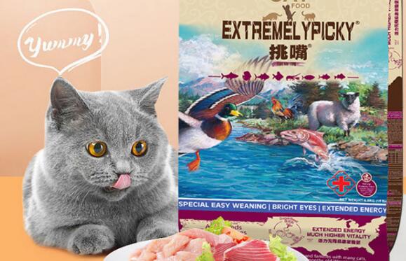 挑嘴猫粮怎么样