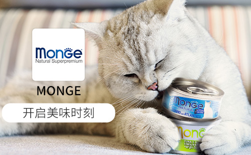 梦吉MONGE
