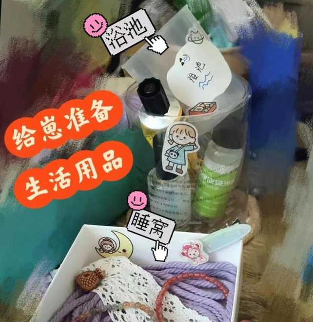 年轻人解锁“石头”宠物:省钱省力还治愈,专家称是情感寄托 年轻人解锁“石头”宠物:省钱省力还治愈,专家称是情感寄托