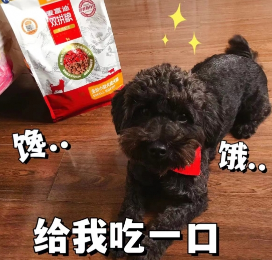 挑食怪必备 麦富迪牛肉双拼粮2.0时代来了 挑食怪必备 麦富迪牛肉双拼粮2.0时代来了