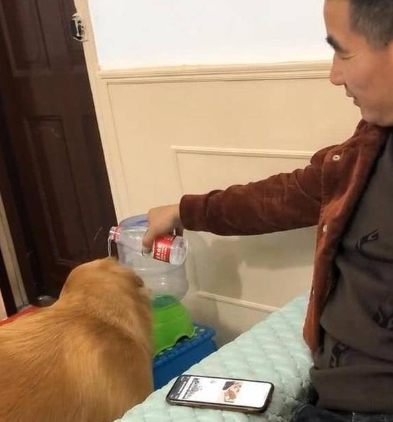 金毛口渴了想喝水，盆里却一滴水也没有，金毛做法让我佩服不已 