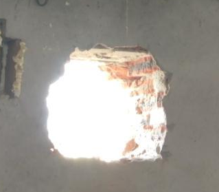 哈尔滨一男子为母猪接生，结果自己却遭遇不测