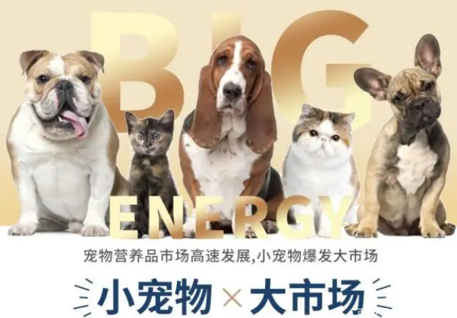 国内知名学府孵化“金南农”项目,引领宠物保健品市场蓝海 国内知名学府孵化“金南农”项目,引领宠物保健品市场蓝海
