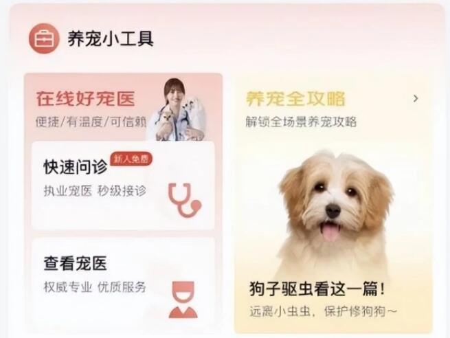 “宠物经济”持续升温，京东双11服务管家产品首期上线养宠服务