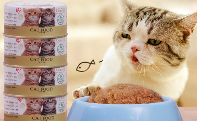 爱丽思罐头&nbsp;爱猫生活