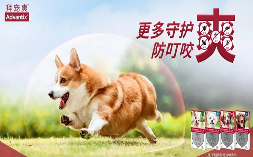 拜宠爽