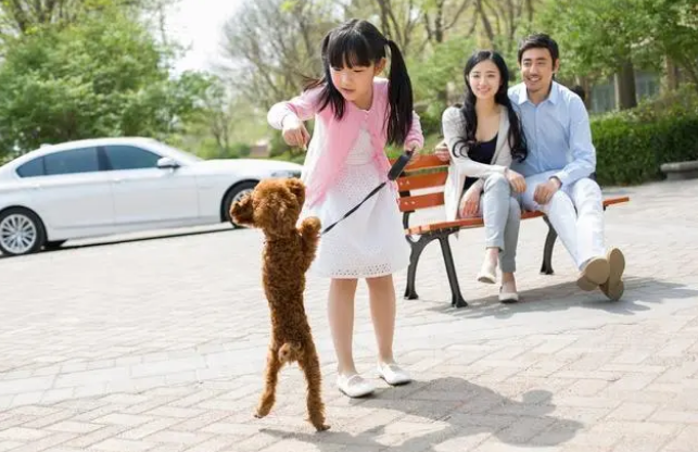 狗能听懂人话吗 狗能听懂人话吗