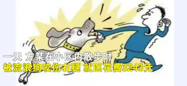 陕西西安,市民方某在小区散步时不慎被一只流浪狗咬伤了右腿 陕西西安,市民方某在小区散步时不慎被一只流浪狗咬伤了右腿