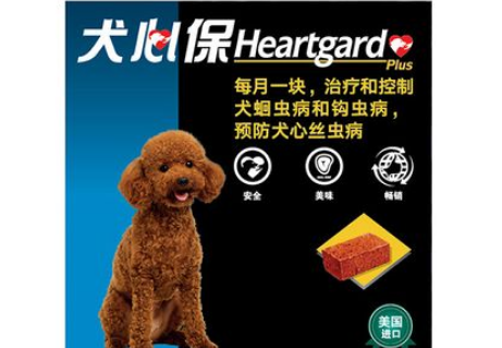 犬心保驱虫药好不好 犬心保驱虫药好不好