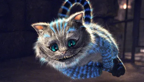 柴郡猫是什么品种?不清楚的快来看看! 柴郡猫是什么品种?不清楚的快来看看!