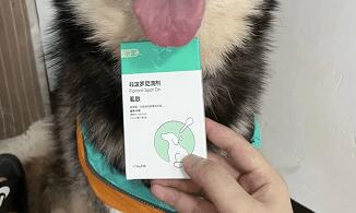 小可宠药体外驱虫怎么样 小可宠药体外驱虫怎么样