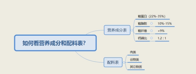 选择狗粮主要看哪些因素，一文就看懂
