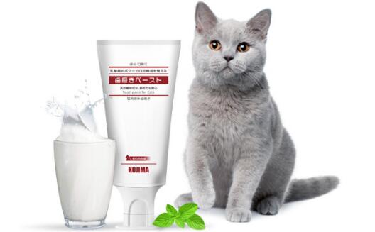 kojima猫牙膏可以给狗狗用吗 kojima猫牙膏可以给狗狗用吗