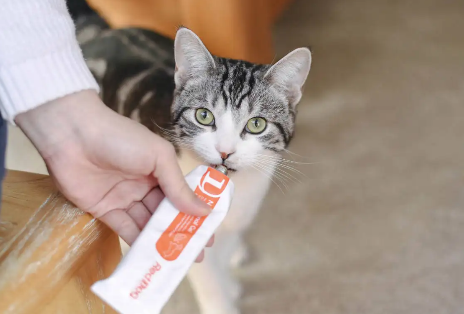 猫咪怀孕能吃化毛膏吗有影响吗