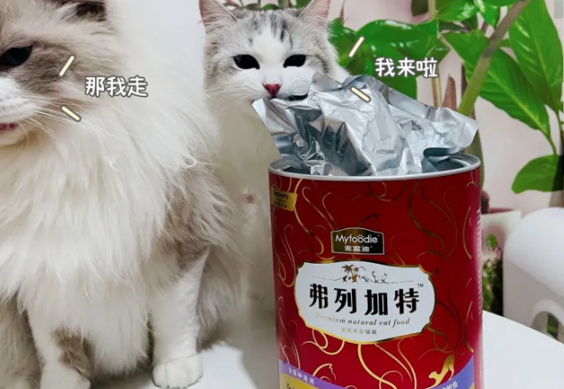 冻干猫粮和无谷猫粮哪个好 冻干猫粮和无谷猫粮哪个好