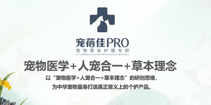 宠蓓佳属于什么档次