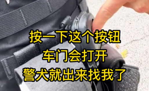 离得超远按下车门遥控，一只训练有素的警犬能否通过嗅闻找到警官？