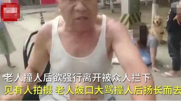女子人行道树上拴狗,幼童靠近被斥退! 女子人行道树上拴狗,幼童靠近被斥退!