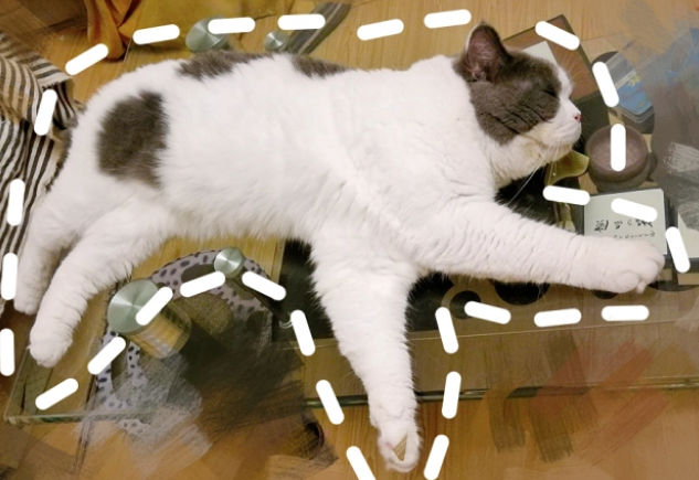 猫咪最喜欢的六个睡觉地点,每一个都有讲究 猫咪最喜欢的六个睡觉地点,每一个都有讲究