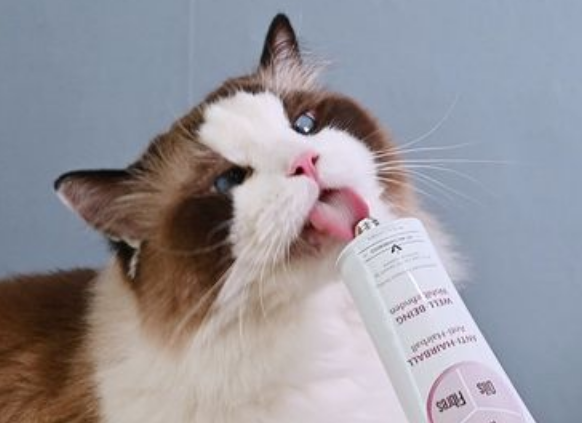 化毛膏一次吃多少 化毛膏一次吃多少