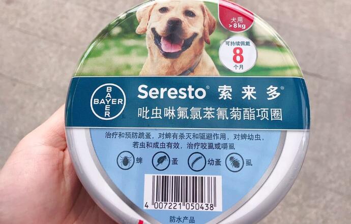 索来多项圈有用吗