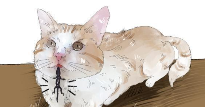 猫叼东西送给自己,正要感动,看后尖叫起来 猫叼东西送给自己,正要感动,看后尖叫起来