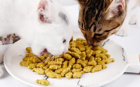 猫咪吃宠物零食好吗 猫咪吃宠物零食好吗