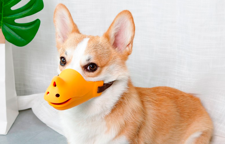 派锐（PURRY）狗狗嘴套质量排名怎么样？独家揭秘分析？