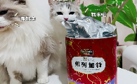 冻干猫粮和无谷猫粮哪个好