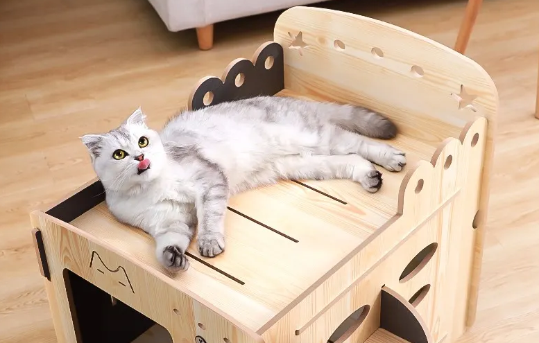 猫睡什么窝比较好 猫睡什么窝比较好