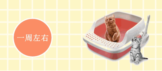 猫砂多久换一次比较好啊