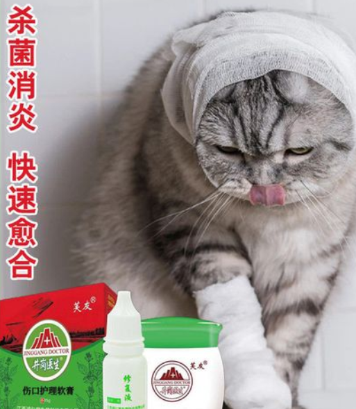 促进猫咪伤口愈合的药有哪些