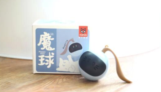 FOFOS 两只福狸 为猫主子提供“私家健身教练” FOFOS 两只福狸 为猫主子提供“私家健身教练”