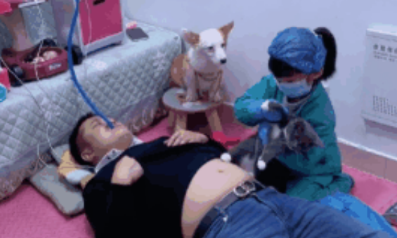 萌娃做“剖腹产”狗狗在一旁“监工” 萌娃做“剖腹产”狗狗在一旁“监工”