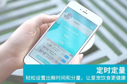 派旺智能怎么设置中文 派旺智能怎么设置中文
