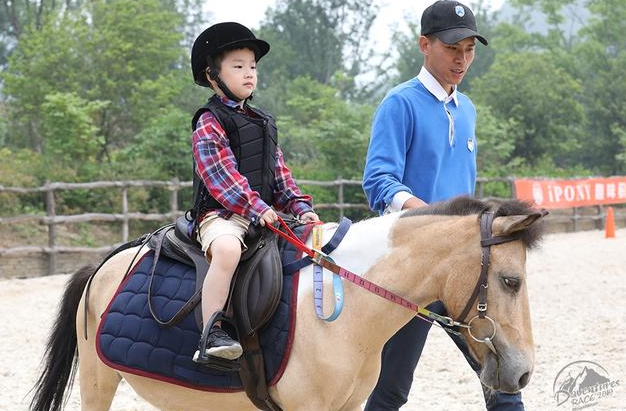 盖夫携Daventures Race山地嘉年华,户外运动会看狗狗肆意撒欢 盖夫携Daventures Race山地嘉年华,户外运动会看狗狗肆意撒欢
