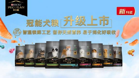 普瑞纳“冠能宝塔营养”科学坚守宠物健康 普瑞纳“冠能宝塔营养”科学坚守宠物健康