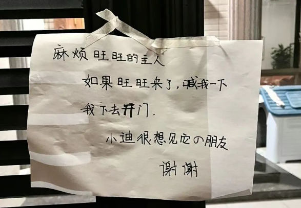 小狗每天准时在门口等待着心心念念的Ta