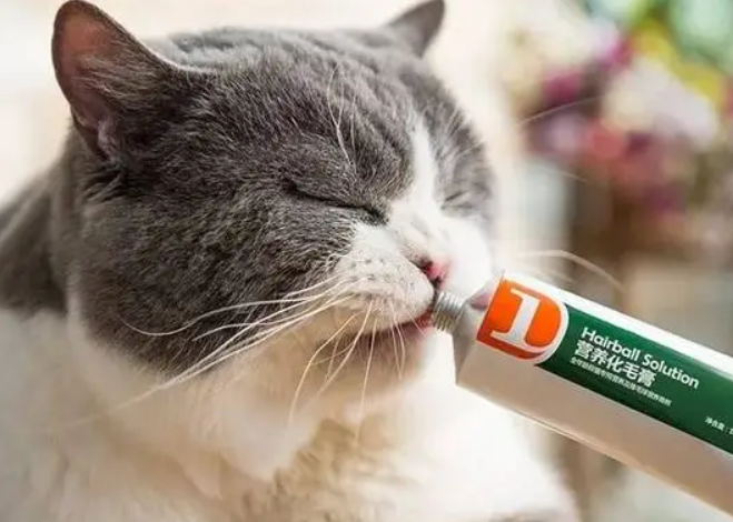 猫咪需要吃化毛膏吗 猫咪需要吃化毛膏吗