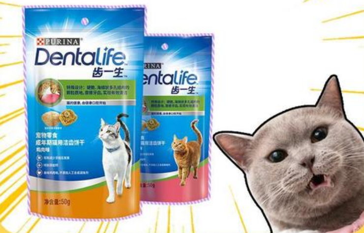 齿一生猫饼干效果