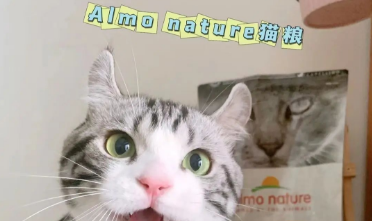 almo nature猫粮是什么档次 almo nature猫粮是什么档次