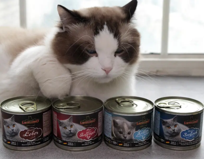 莱昂纳多猫罐头家禽味怎么变了