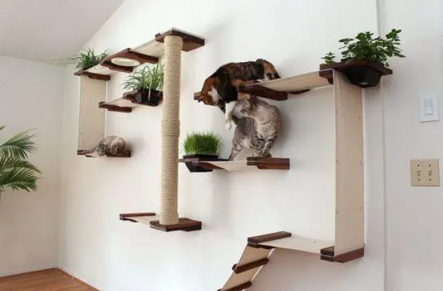 猫咪定制3层小别墅，需要了解的人速来看！