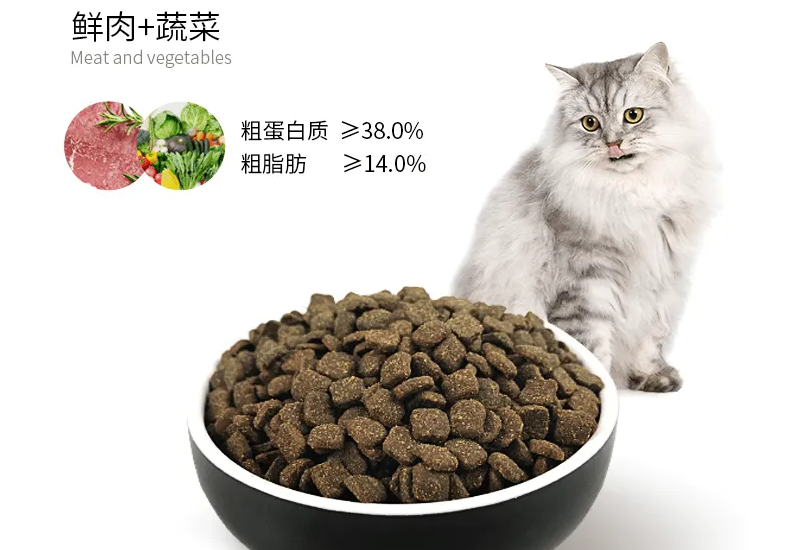 55g猫粮是多少