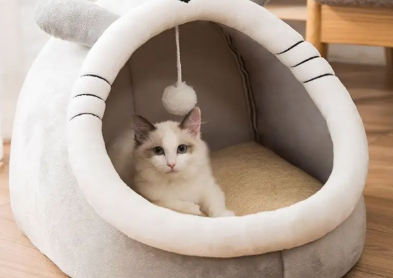 有卖猫窝的吗 有卖猫窝的吗